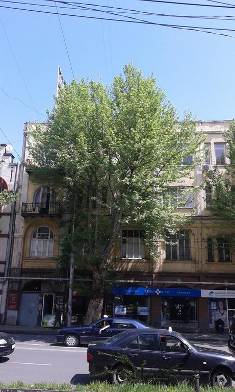 Vera Garden Apartment Tbilisi ภายนอก รูปภาพ
